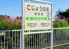 alt 2