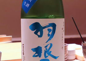 alt 1