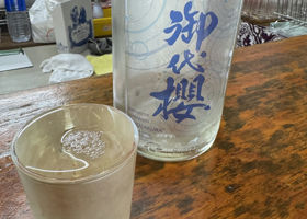 alt 1