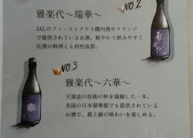 alt 3