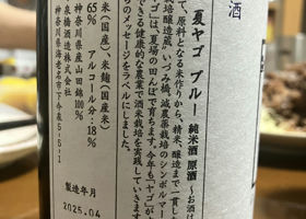 alt 3