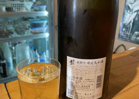 やんちゃ酒 チェックイン 2