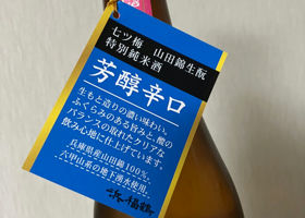alt 3