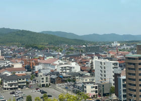 alt 3