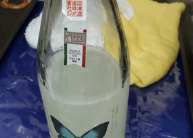 alt 3
