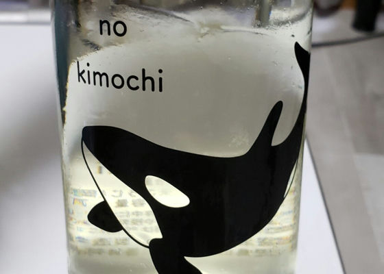 shachi no kimochi