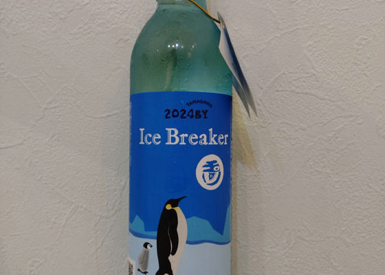 alt 1