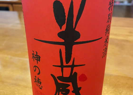 alt 1