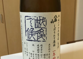 alt 1