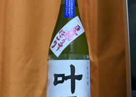 alt 1