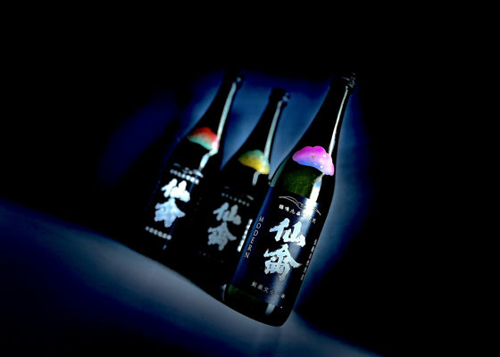 alt 1