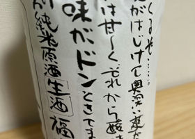 alt 3