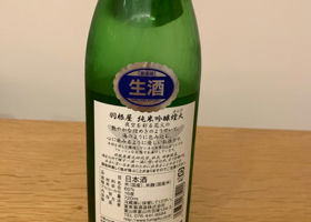 alt 2