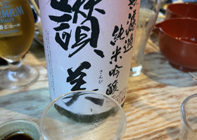 alt 1