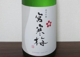 alt 1