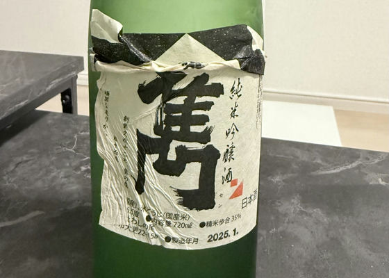 alt 1