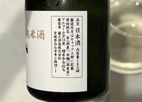 alt 3
