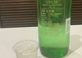 alt 3