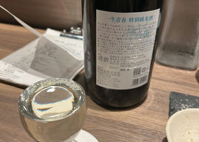 alt 2