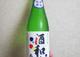 alt 1