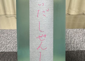 alt 1