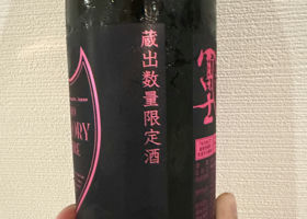 alt 3