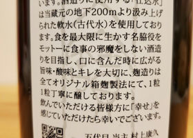 alt 3