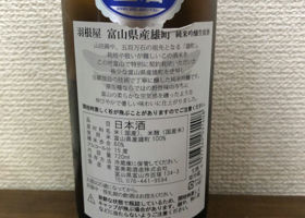 alt 2