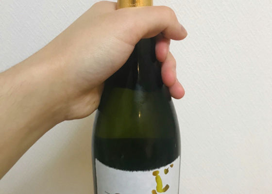 alt 1
