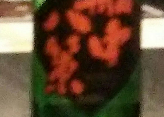 alt 1