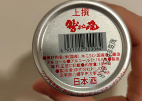 alt 3