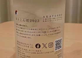 alt 3