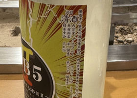 alt 3