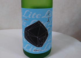 alt 1