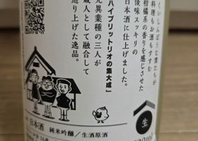alt 2
