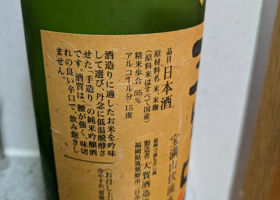 alt 1