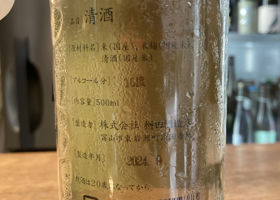 alt 3