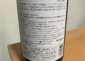 alt 2