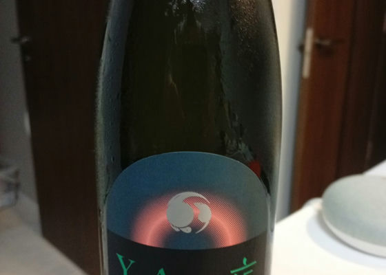 alt 1