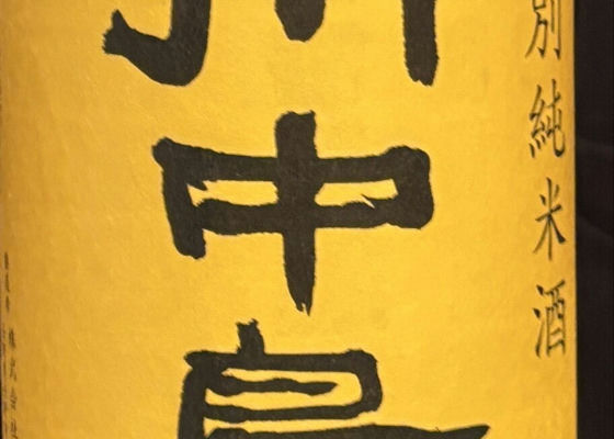 alt 1