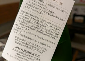 alt 2