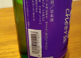 alt 2