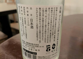 alt 3
