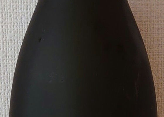 alt 1