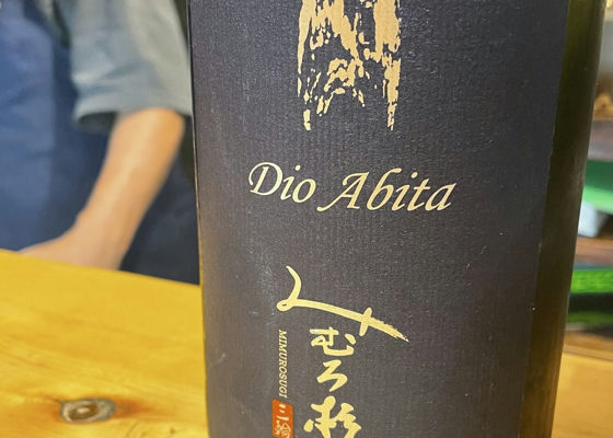 alt 1