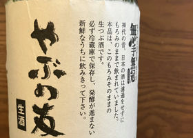 alt 1