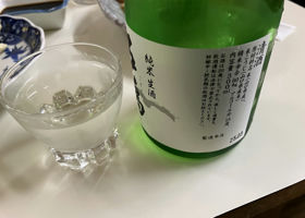 alt 3