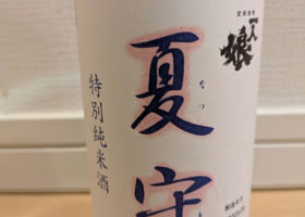 alt 3