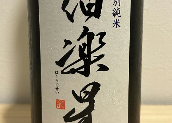 alt 1
