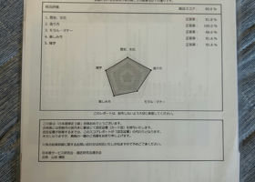 alt 3